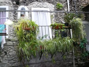 Airole appartamenti Imperia Liguria
