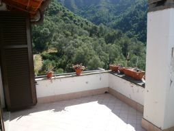 house balloi