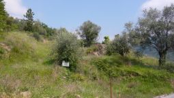 Dolceacqua terreno