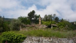 Dolceacqua terreno
