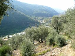 Land Dolceacqua