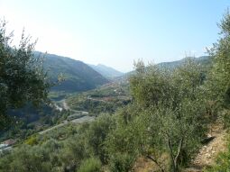 Land Dolceacqua
