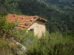 Land Vallebona