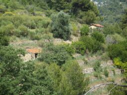 Land Vallebona