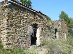 rustico