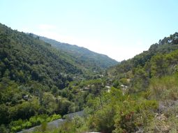 Rustico Perinaldo
