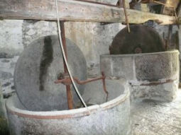 Old olive mill Pigna