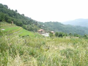 Terreno edificabile DOlceaqua Imperia Liguria