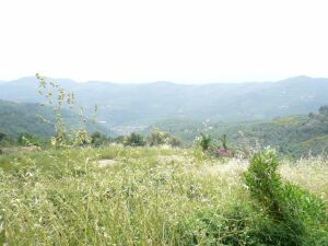 Terreno edificabile Dolceacqua Imperia Liguria