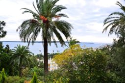 appartamento a cannes