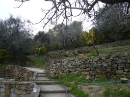 villa