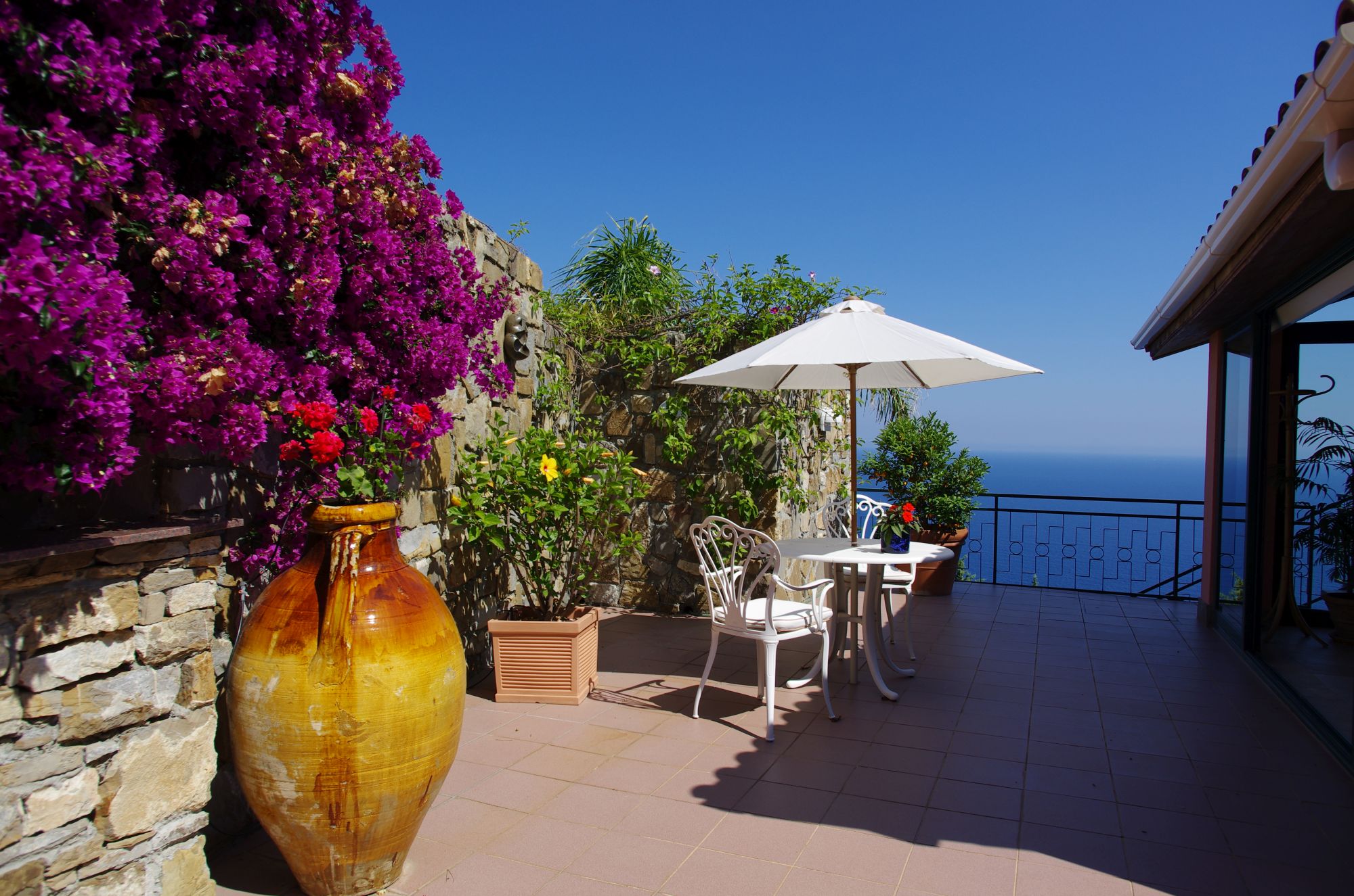 mimosa umbrella base